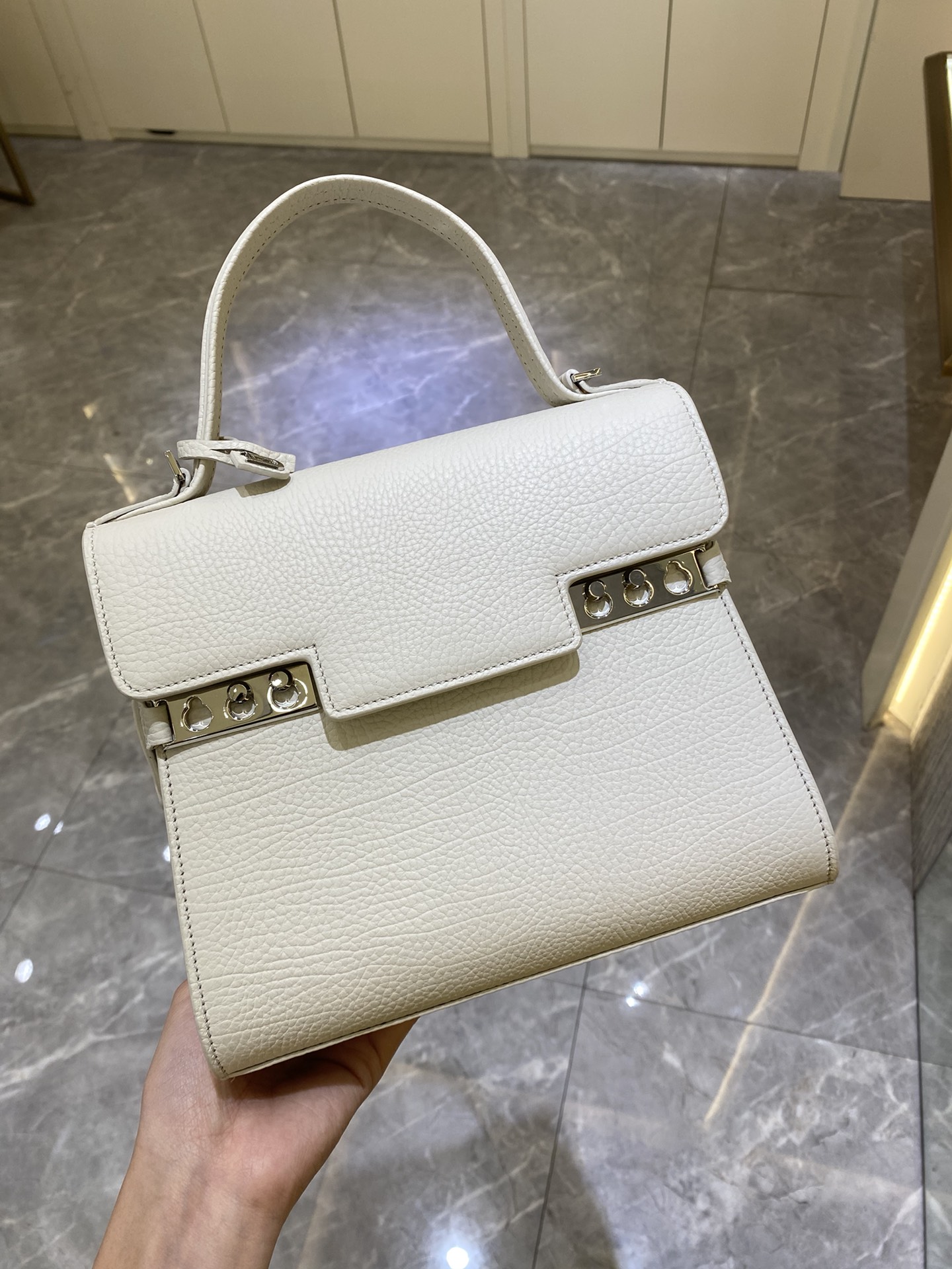 델보 톰페뜨 PM 토트백